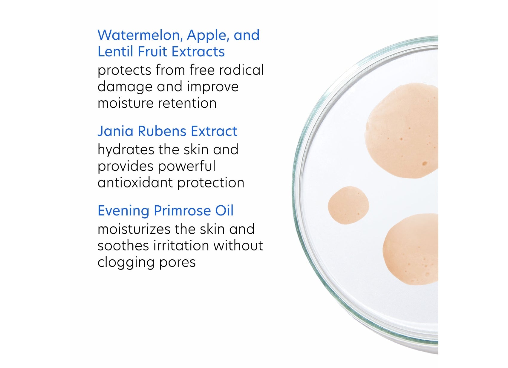 Hydrating Toner 7 fl oz